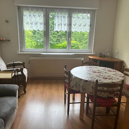 Superbe Maison 3 Chambres 1 Etage Et Sous-Sol, Avec Jardin Et Terrasse Altkirch Kültér fotó