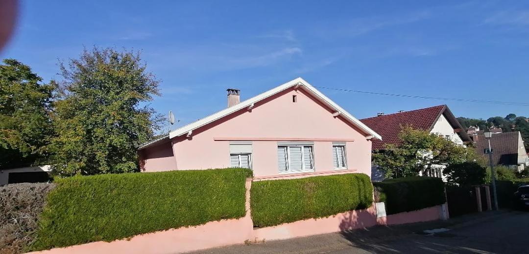 Superbe Maison 3 Chambres 1 Etage Et Sous-Sol, Avec Jardin Et Terrasse Altkirch Kültér fotó
