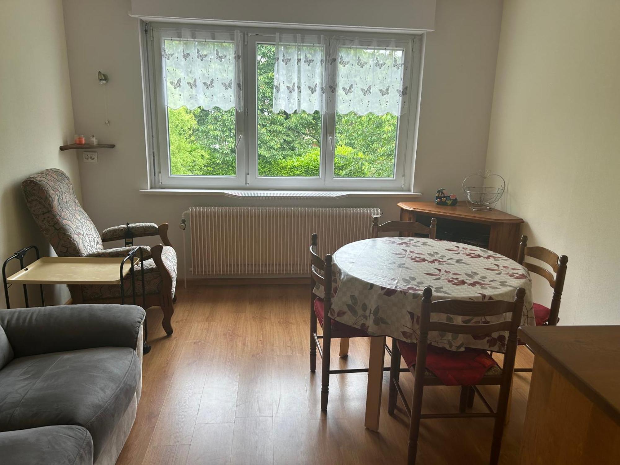 Superbe Maison 3 Chambres 1 Etage Et Sous-Sol, Avec Jardin Et Terrasse Altkirch Kültér fotó